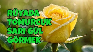 Rüyada Tomurcuk Sarı Gül Görmek ? - Ne Anlama Geliyor  Leyla Bayram Rüya ve İstihare Yorumcusu