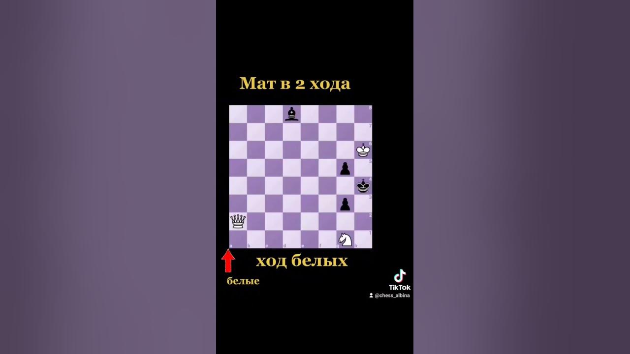 Шахматная задачка #chess #шахматы #chorts - YouTube