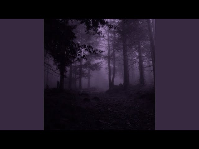i’m not here anymore
