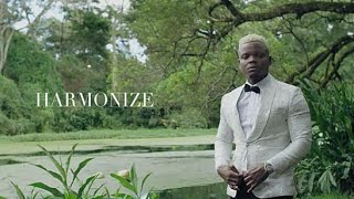 Harmonize ft Lady jaydee - wife (official art video)