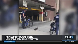 Caught On Camera: MSP Escort Ducks Home