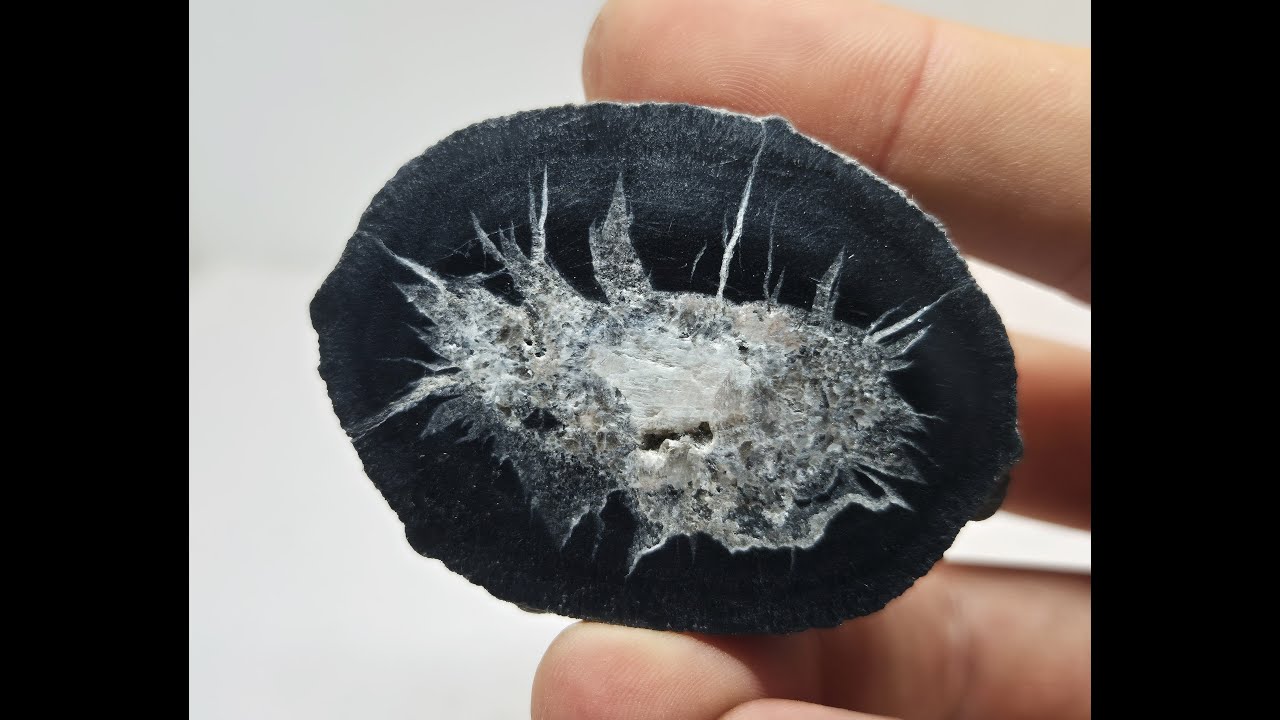 Septarias Françaises : Allos et Mazaugues