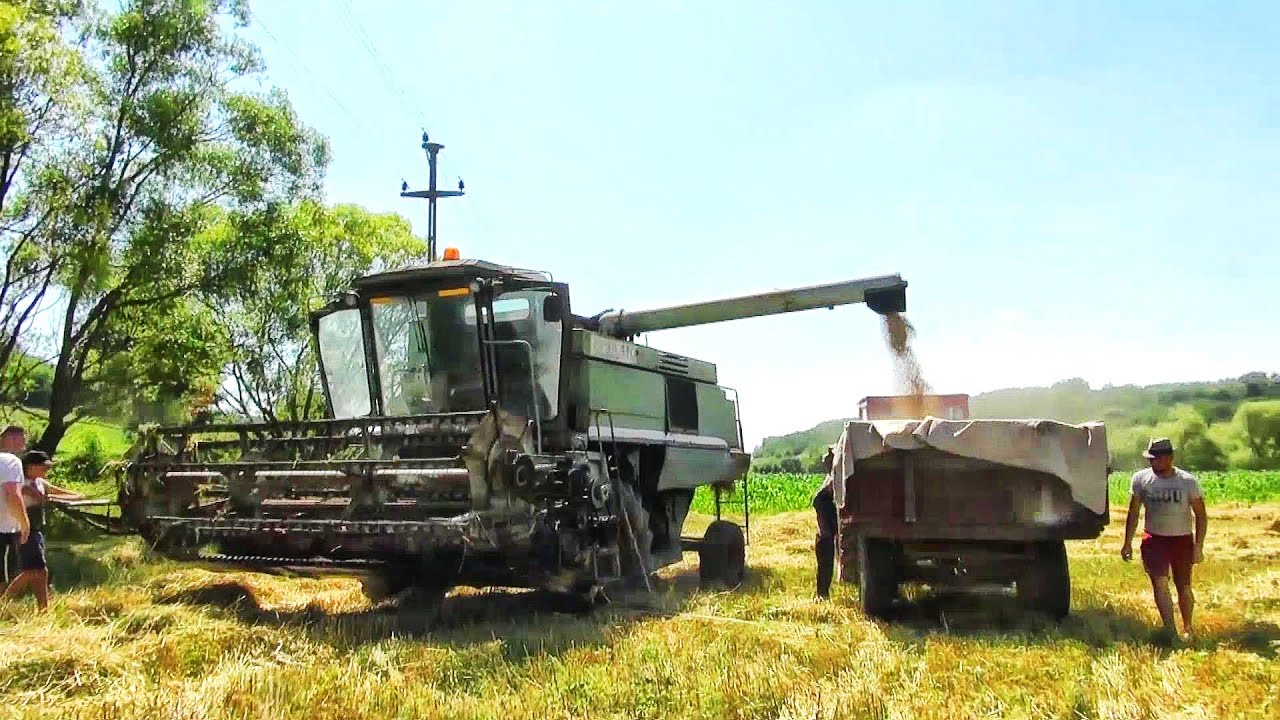 Două embleme nemuritoare ❗❗❗ Sema 110 și Gloria C14-La treierat ca pe vremuri-Bihor-2021-2022