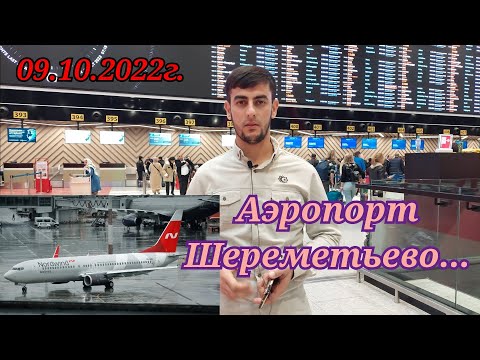 АЭРОПОРТ ШЕРЕМЕТЬЕВО/ 9.10.2022г.МАЪЛУМОТ ОИДИ НОРДВИН/