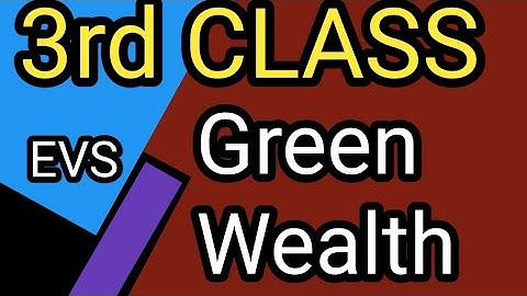 #3rd standard #EVS// lesson  2// Green wealth#learnwithmechannel