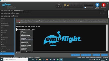 EmuFlight 0.1.38 (essentially version 0.2.0)