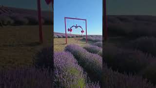 Bugün seni en çok ne mutlu etti?