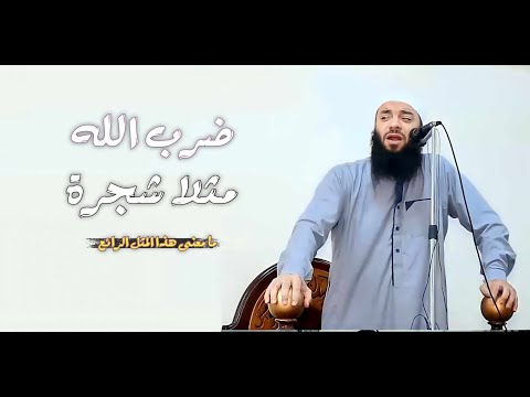 ضرب الله مثلا شجرة فرعها ثابت وأصلها في السماء ما معنى هذا المثل الرائع الدكتور حازم شومان