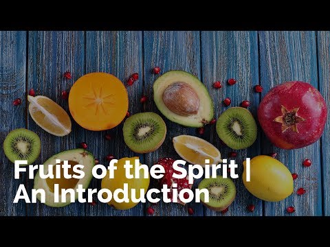 Image result for AN INTRODUCTION TO THE FRUITS OF THE SPIRIT"