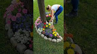 🌿 From Boring Tree Base to a Vibrant Garden Bed 🌼 Easy Transformation You’ll Love!