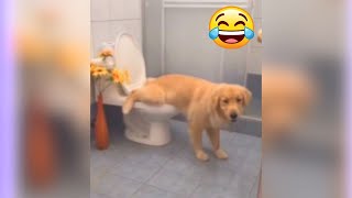 Funniest Animals 2023