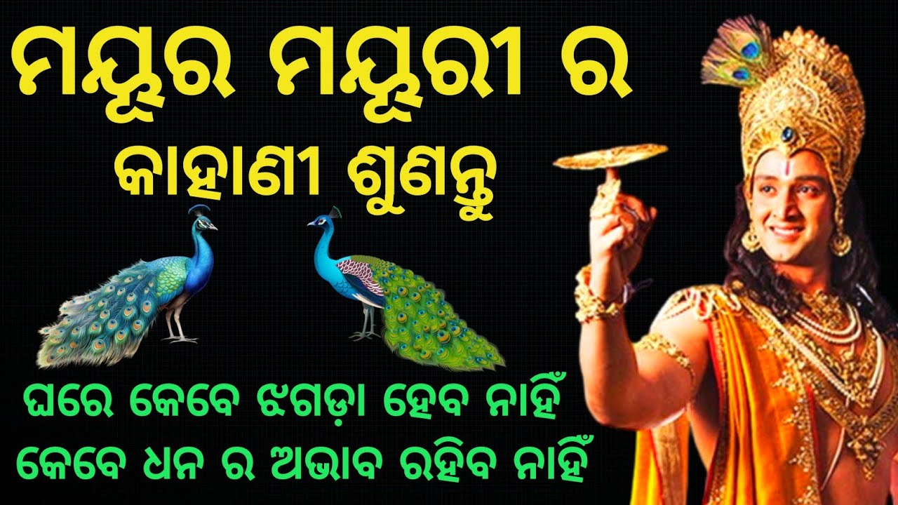 ମୟୁର ମୟୂରୀ ର ଏହି କାହାଣୀ ଶୁଣିଲେ ଘରେ କେବେ କଳି ହେବ ନାହିଁ | Krishnavani | @CHINTANATVODIA