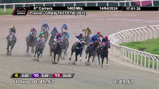 Vidéo de la course PMU PRIX GRAN TAFFETA (2017)