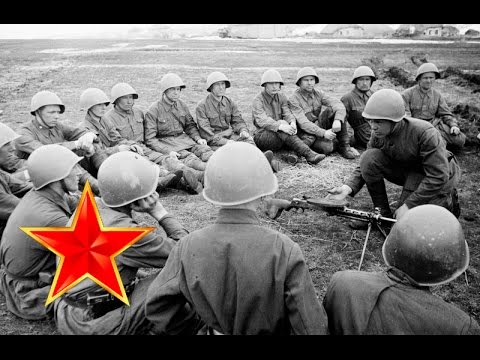 The nightingales - WW2 songs russian + lyrics - wwii battles footage - About ww2 soldiers