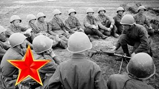 The nightingales - WW2 songs russian + lyrics - wwii battles footage - About ww2 soldiers