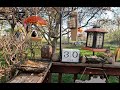The crow has come a knockin’! Literally! 4K Bird &amp; Squirrel Feeder!