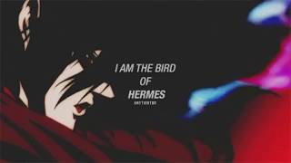 Hellsing Ultimate — Believer (AMV)
