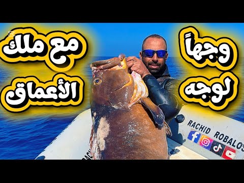 وحش الميرو في مواجهة مباشرة مع الغواص صيد ولا في الأحلام