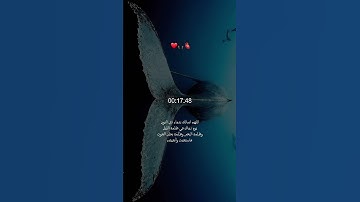 اطمئن 🤍#تلاوة_مؤثرة #احمد_العجمي #القران_الكريم_راحة_للقلوب