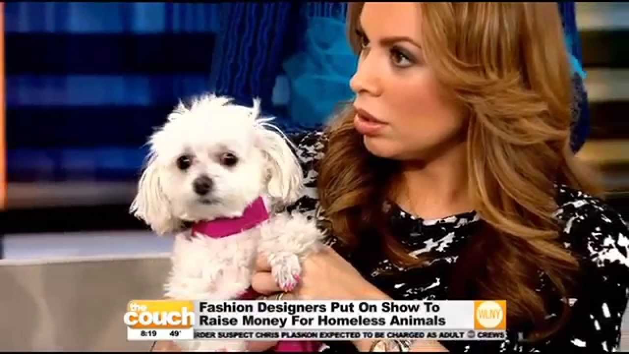 "Paws In The City" Fashion Event Raises Money For Homeless Pets