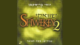 Video thumbnail of "Yaakov Shwekey - הנני"