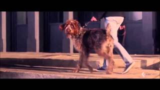 005 The Amazing Spider Man 3 Evian Baby & Me 2 2014 Official Spot Hd Youtubevia Torchbrowser Co