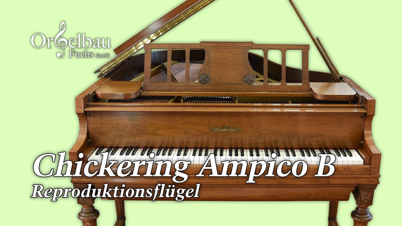 Chickering Ampico B Flügel
