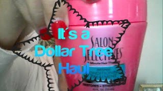 Dollar Tree Haul 02/24/15