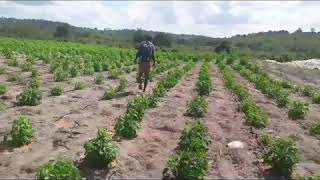 Expotan karibu yako kwa kilimo cha pilipili