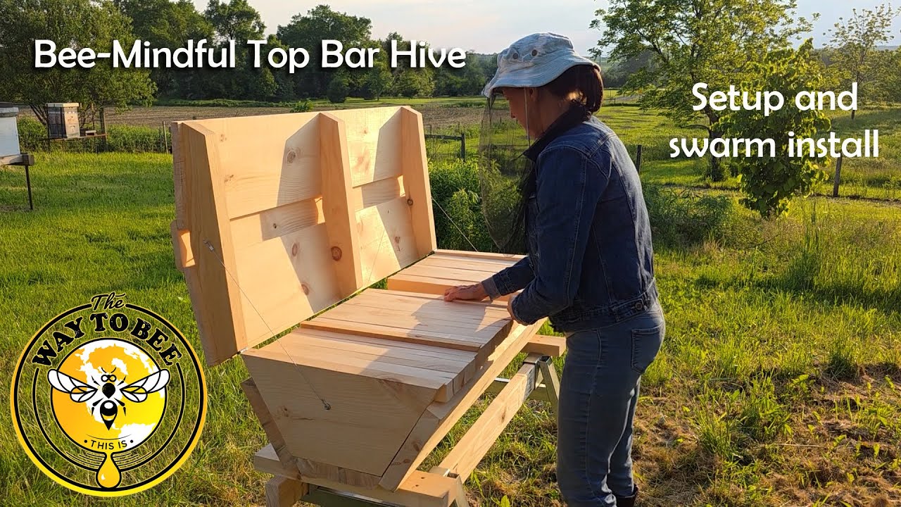 Top Bar Hive Flex-Horizontal from Bee Mindful Set-up and Swarm Install