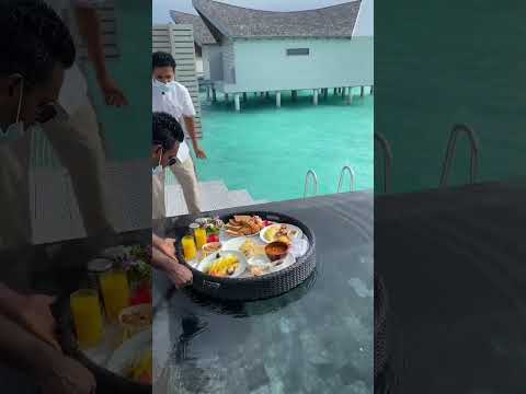 Mornings in maldives! Video by feyrockss #Shorts