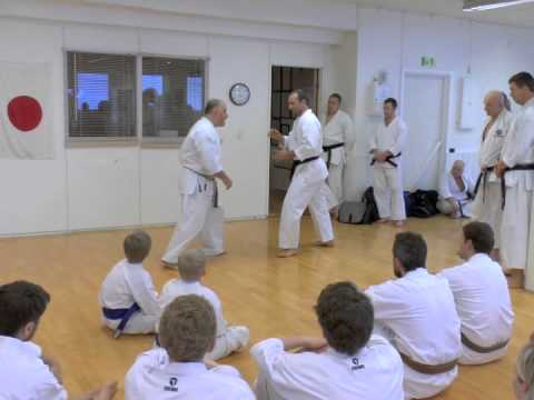 Norway Makotokai seminar 2013