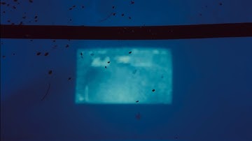 BDES2024 Art Processes | PROJECT 2: Materiality, Action & Site