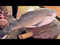 Excellent cutting skills  big rohu fish skinning  chopping by expert fish cutter