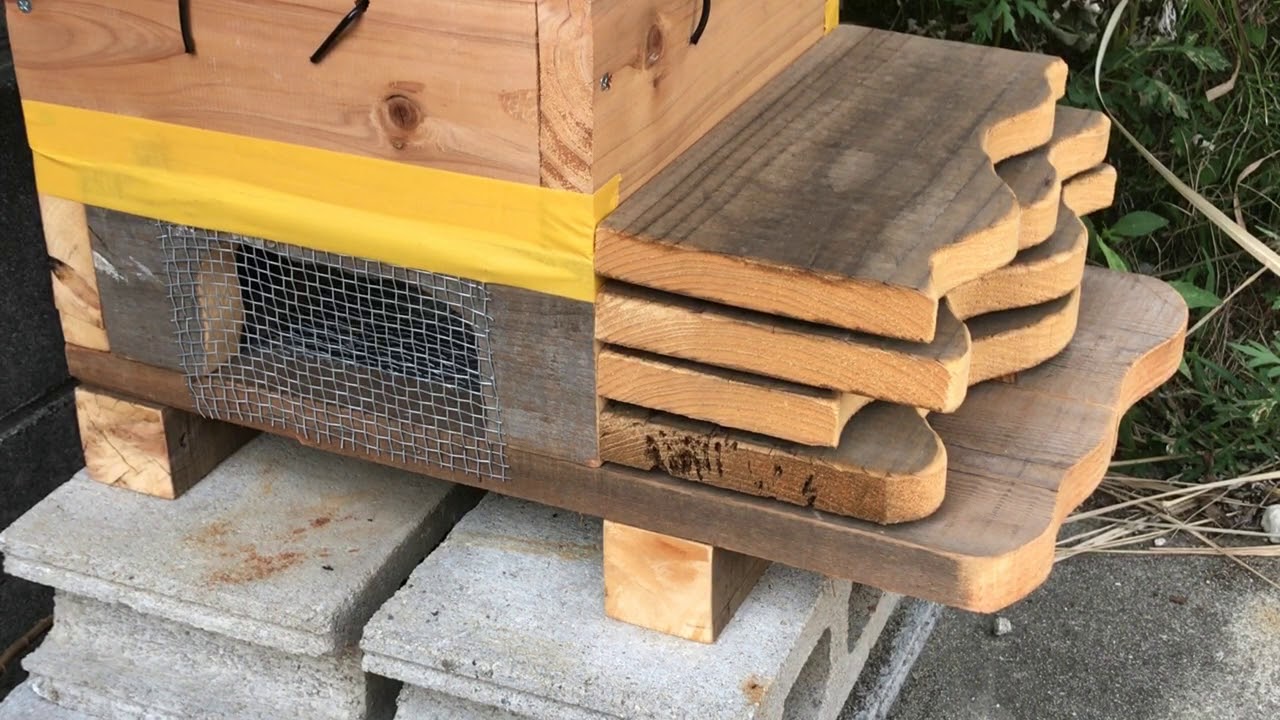 2022年新作入荷 ニホンミツバチ メッシュ底板セット 30cm用 重箱用巣箱台 日本蜜蜂 - かご/おり - hlt.no