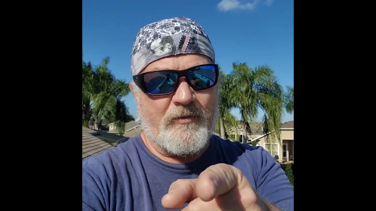 Why home inspectors despise squirrels! 