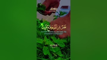 وأخرى تحبونها نصر من الله وفتح قريب  كرومات قرآن ناصر القطامي سورة الصف #قران #تلاوة #ناصر_القطامي
