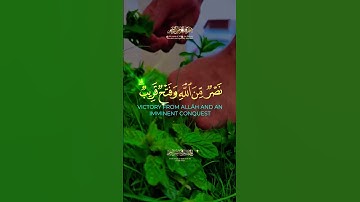 وأخرى تحبونها نصر من الله وفتح قريب  كرومات قرآن ناصر القطامي سورة الصف #قران #تلاوة #ناصر_القطامي