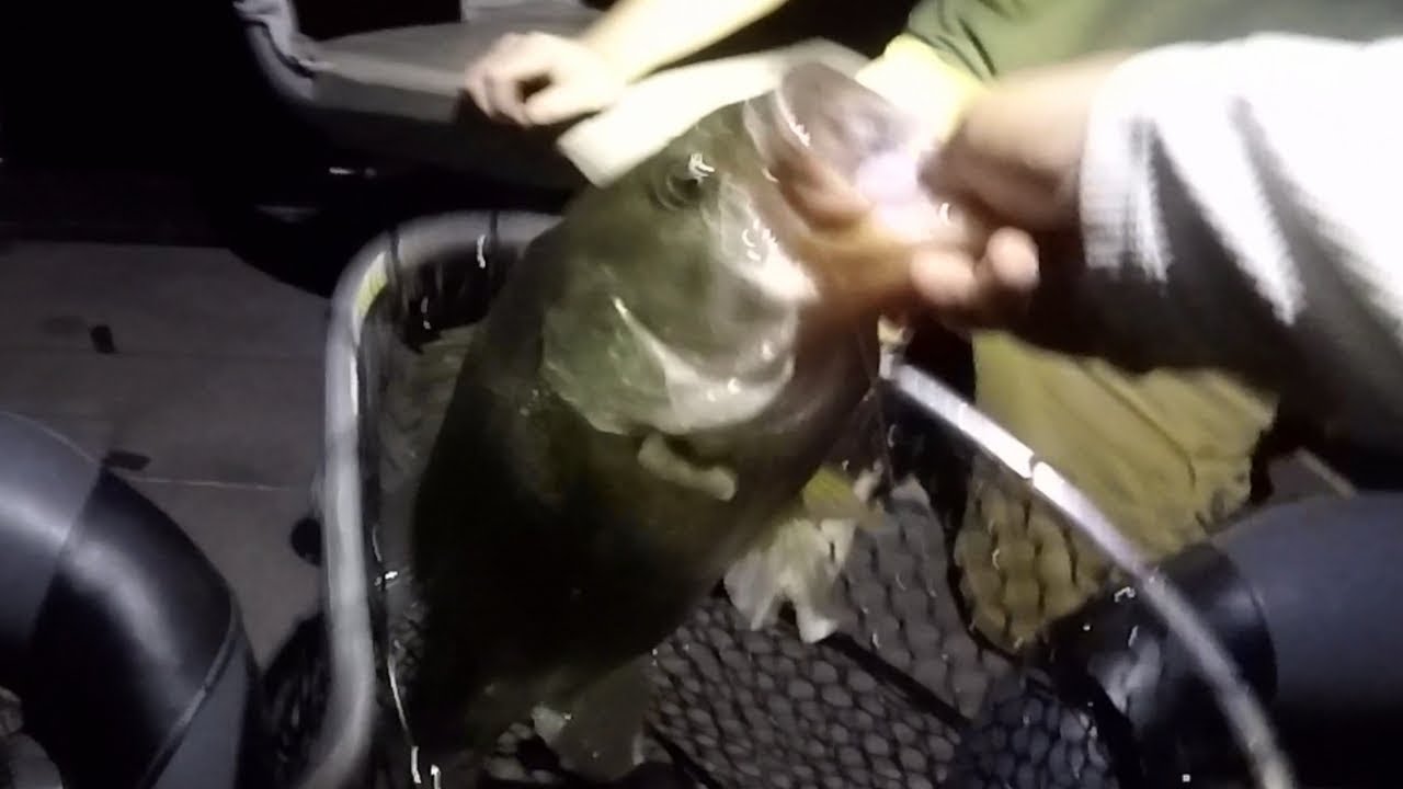 Harvey's Lake Friday Nighter Fishing Tournament YouTube