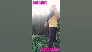 Verso Kopi lambada #tanjakan#ekstrim  ngakak poul