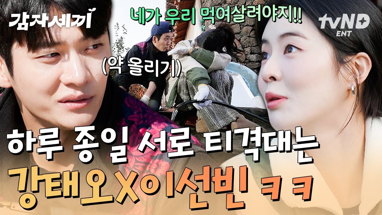 [#감자세끼] 찐친 케미 무엇🤣 예능신 강림한 뚝딱 강태오와 옆에 딱 붙어서 잔소리 폭격 쏟아내는 이선빈😝