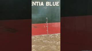 Celebrity #ship draft mark reading #viral #youtubeshorts Net Worth