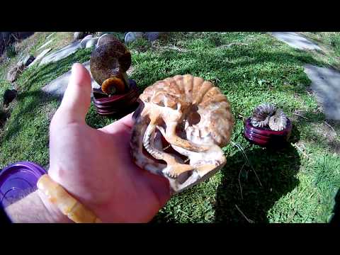 საჩუქარი ტიბეტიდან...რომელი მინერალი მოგწონთ თქვენ...?