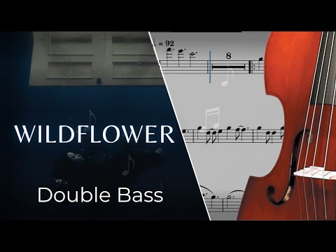 WILDFLOWER (Double Bass) - 빌리 아일리시