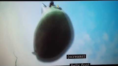 Flynn Bellyflop Squash Sidney