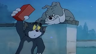 Tom And Jerry - Smarty Cat 1955 - Top Games & Movies