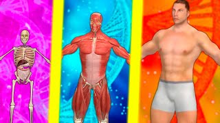 CRIANDO E EVOLUINDO UM CORPO HUMANO → Idle Human 📱🎮 screenshot 1
