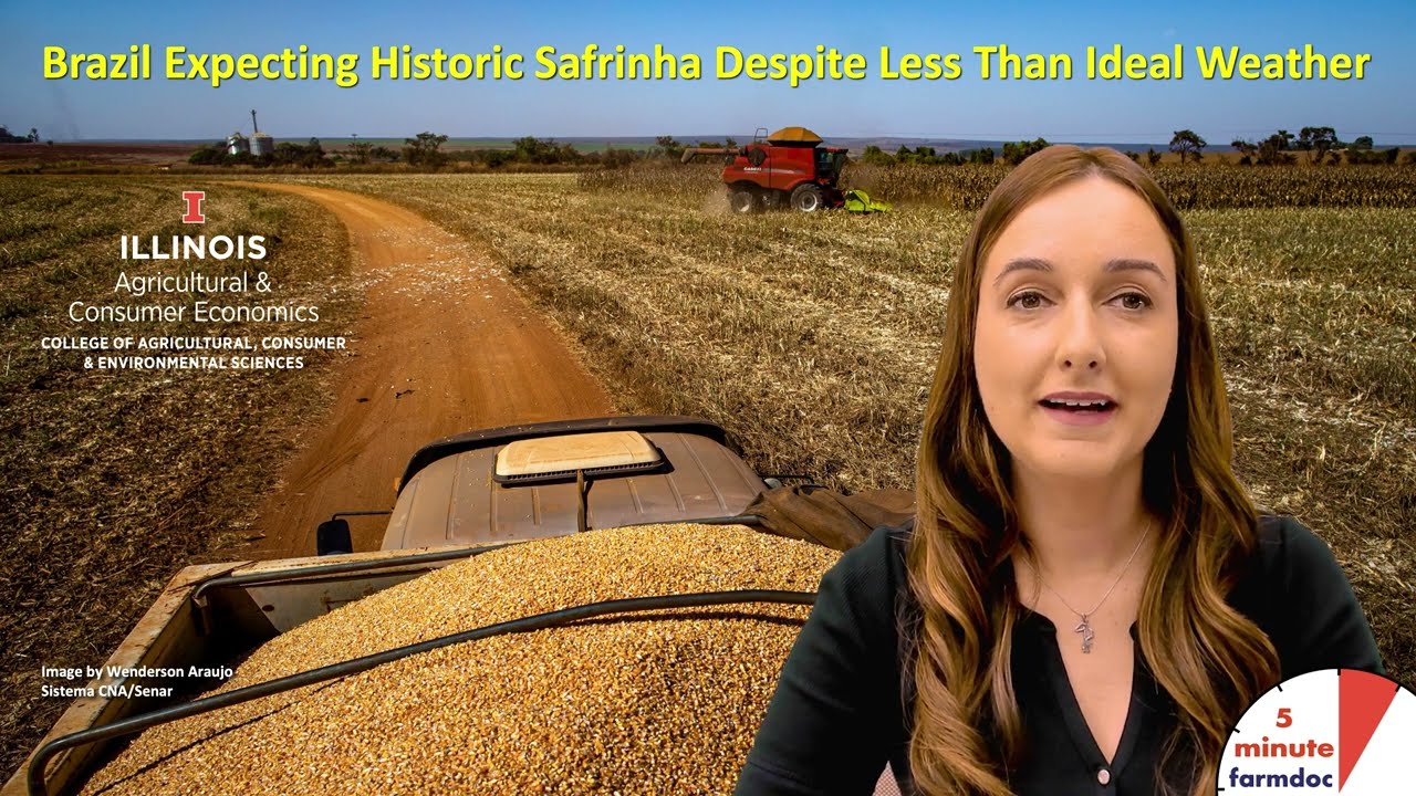 Brazil Expecting Historic Safrinha Despite Less Than Ideal Weather