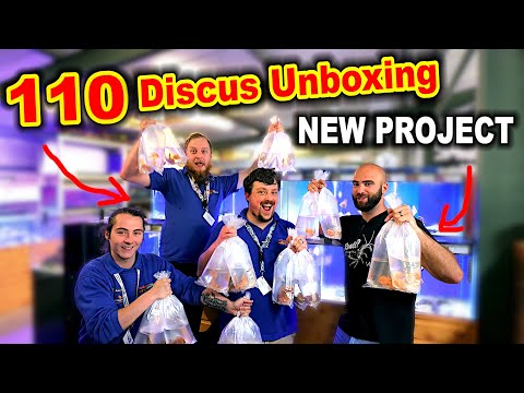 110 DISCUS UNBOXING & AMAZING NEW PROJECT DETAILS!! (much excite!)