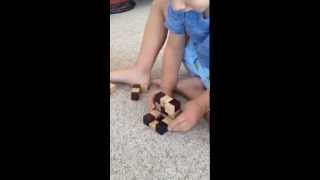 #89 9-piece Wooden Checkered Cube Puzzle In-depth Solution Explained by a 4-Year Old One Community has a 10% off coupon code that anyone can use to buy this 9-piece Wooden Checkered Cube Puzzle and/or ...